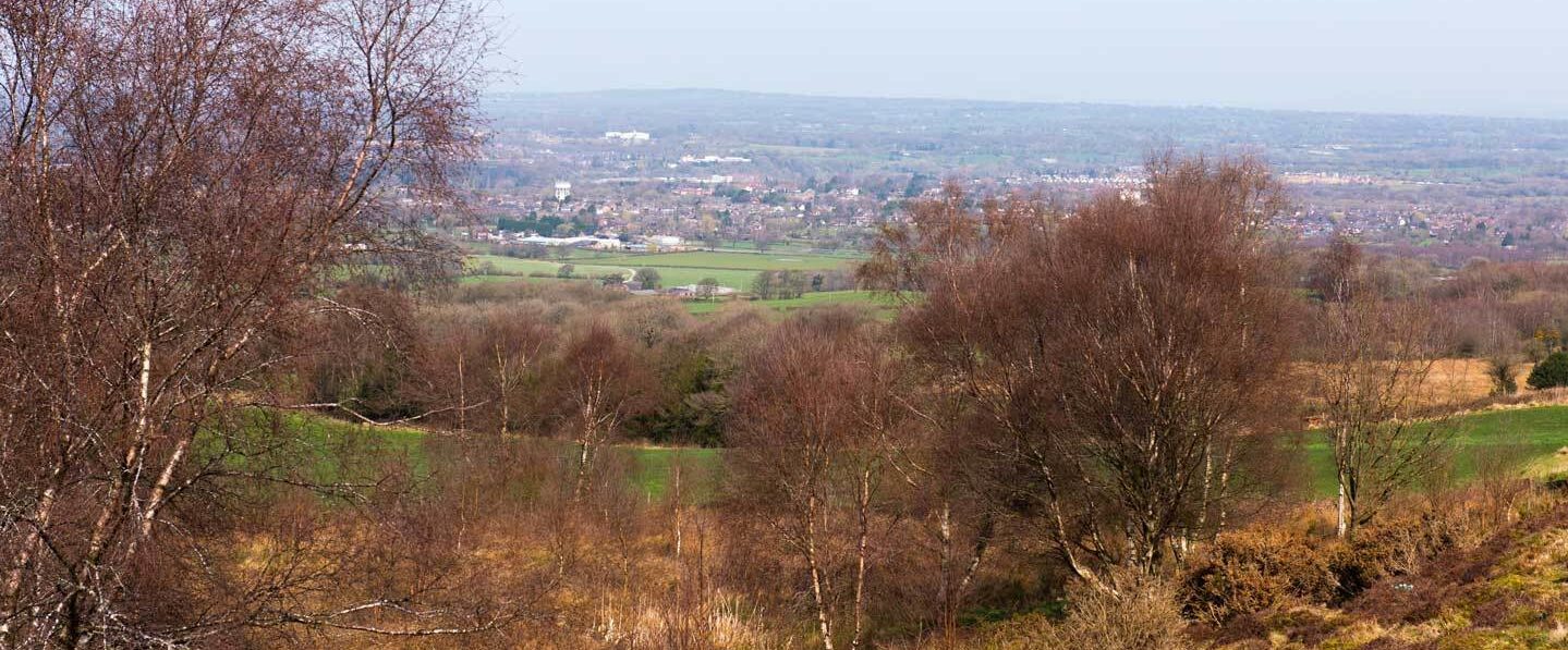What’s at stake? Learning Congleton